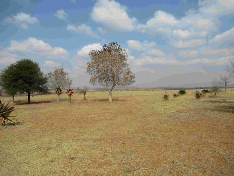 23HA PROPERTY FOR SALE IN NATURE RESERVE - Photo 2