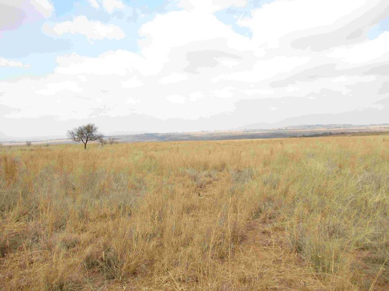23HA PROPERTY FOR SALE IN NATURE RESERVE - Photo 10