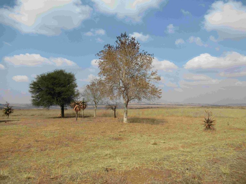 23HA PROPERTY FOR SALE IN NATURE RESERVE - Photo 4