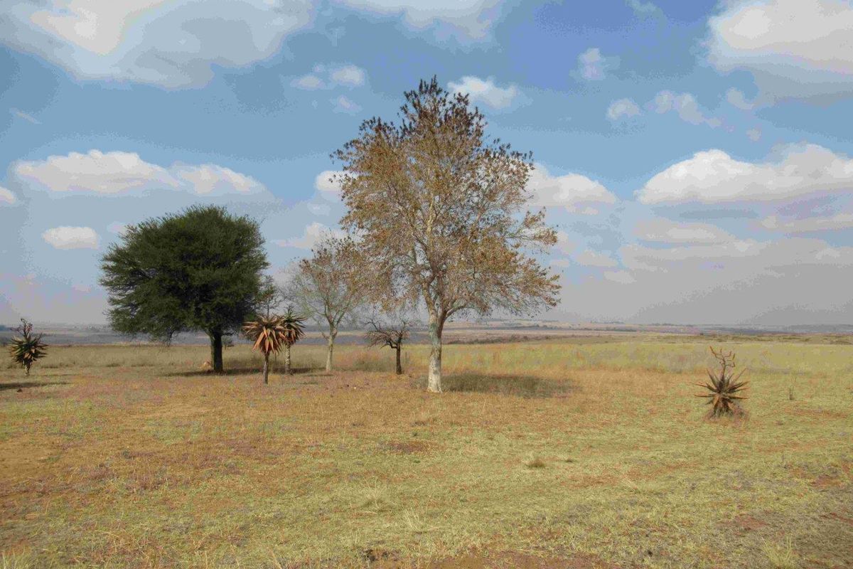 23HA PROPERTY FOR SALE IN NATURE RESERVE - Photo 4