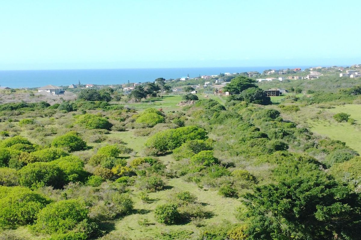 A Unique Landholding with Multiple Lifestyle and Development Pathways - Photo 5