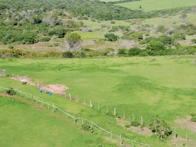 A Unique Landholding with Multiple Lifestyle and Development Pathways - Photo 10