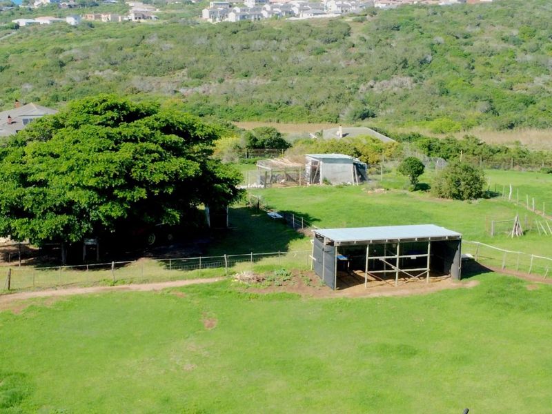 A Unique Landholding with Multiple Lifestyle and Development Pathways - Photo 9