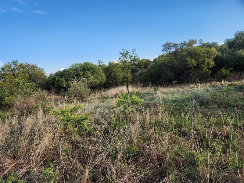 25ha WITH RIVERFRONT FARM - PRICED TO GO - Photo 4