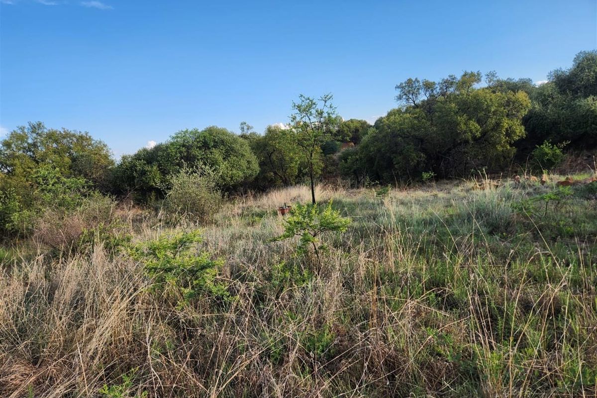 25ha WITH RIVERFRONT FARM - PRICED TO GO - Photo 4