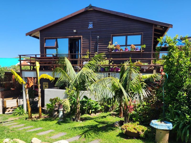 A rear view of a timber-clad house featuring an elevated wooden deck, landscaped garden, and mature palm trees.