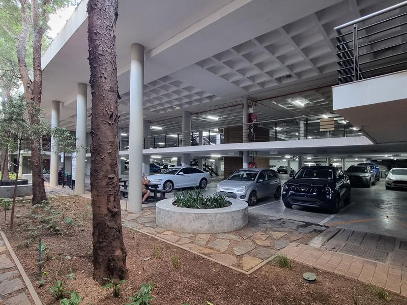 Office To Rent in Randpark Ridge, Randburg - Photo 5