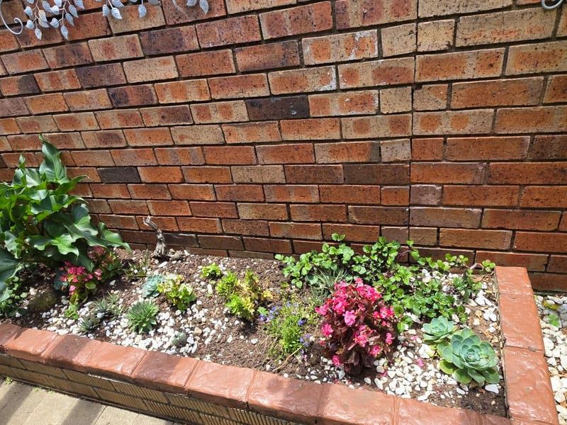 A well-maintained garden bed featuring a brick retaining wall and established plantings, set against a classic face-brick boundary wall.