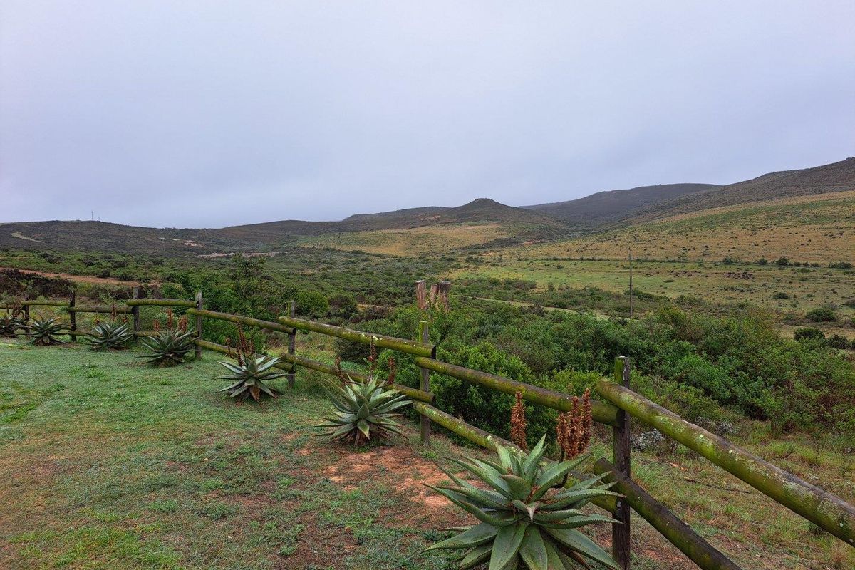 UNDER OFFER in Riversdale Rural, Riversdale - Photo 4