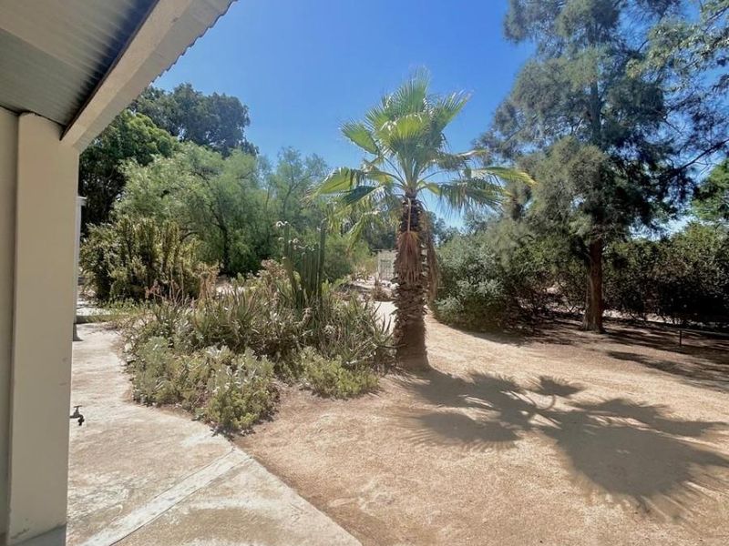 Homestead with Artist Studio For Sale in Hopefield - Photo 10