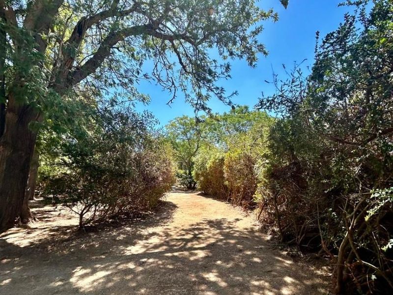 Homestead with Artist Studio For Sale in Hopefield - Photo 9