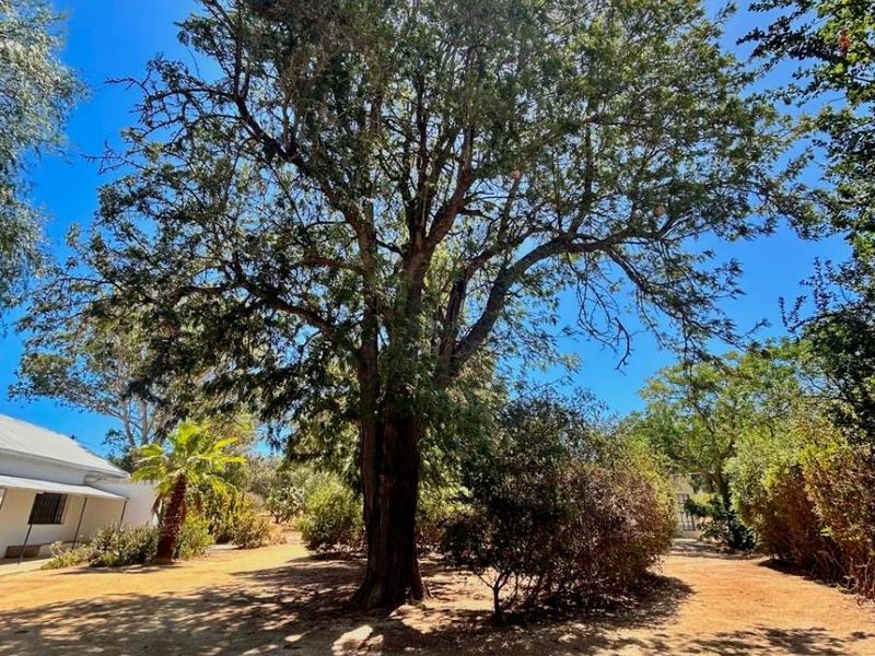 Homestead with Artist Studio For Sale in Hopefield - Photo 8