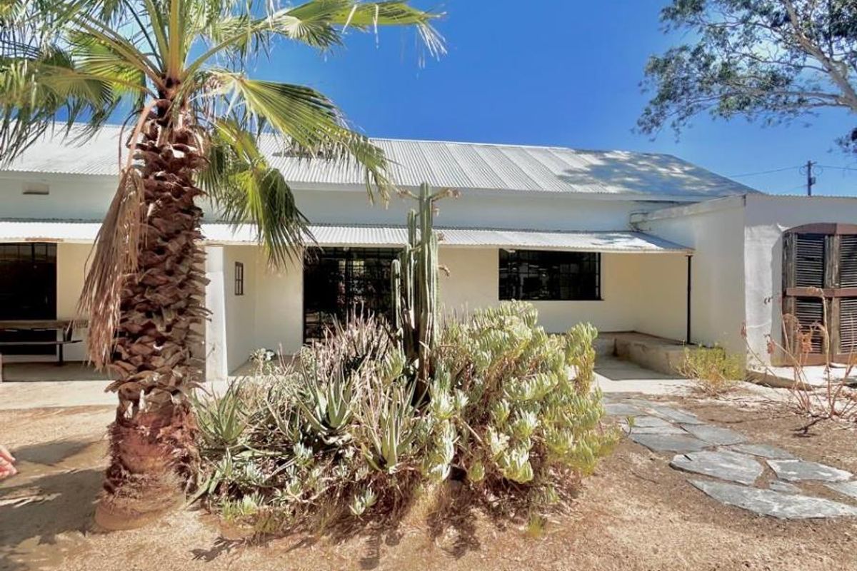 A view of the rear exterior of the small holding, featuring a white facade, corrugated metal roof, and established garden with stone pathway.