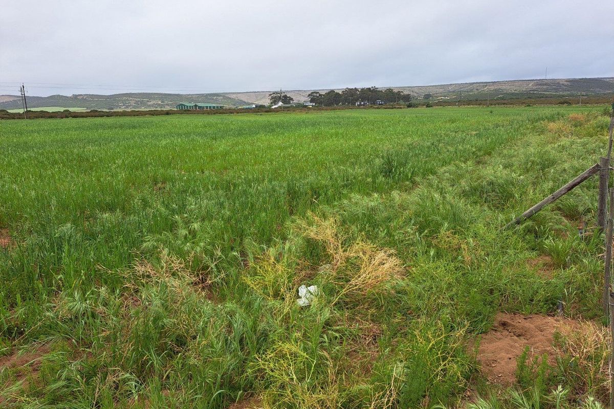Farm For Sale in Stilbaai Rural, Stilbaai - Photo 5