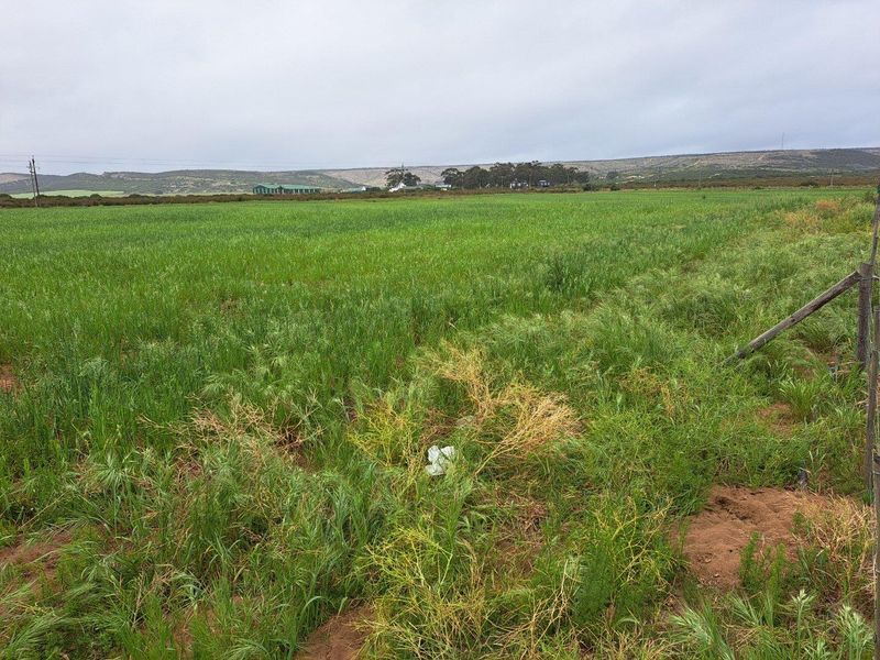Expansive open farmland with green pasture and distant rural structures under an overcast sky.
