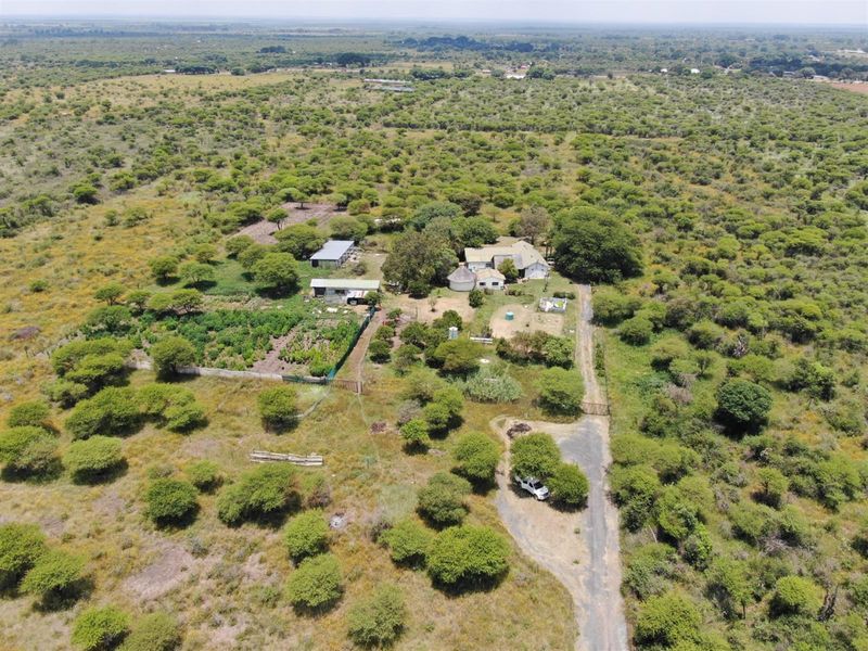UNDER OFFER Charming 8.56 Hectare Smallholding in Sought-After Roodepoort Area in Bela Bela - Photo 7