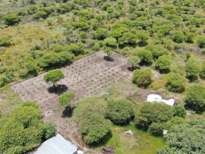 UNDER OFFER Charming 8.56 Hectare Smallholding in Sought-After Roodepoort Area in Bela Bela - Photo 6