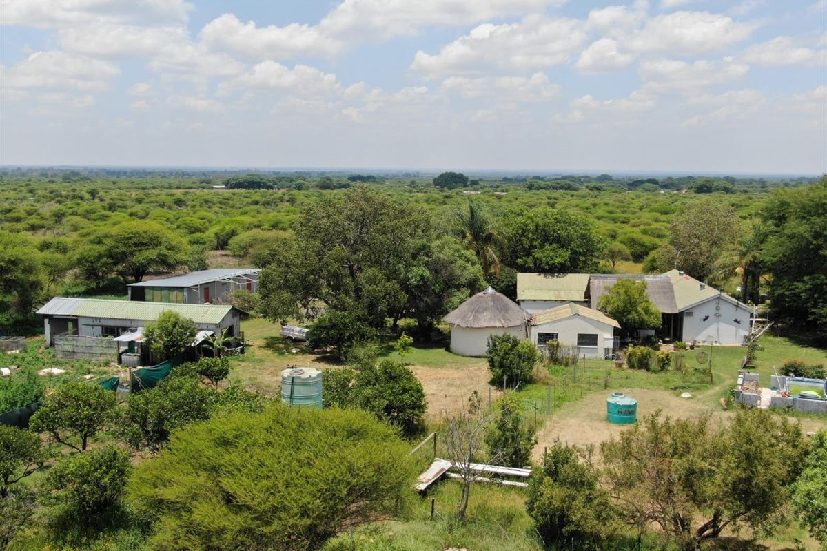 UNDER OFFER Charming 8.56 Hectare Smallholding in Sought-After Roodepoort Area in Bela Bela - Photo 3