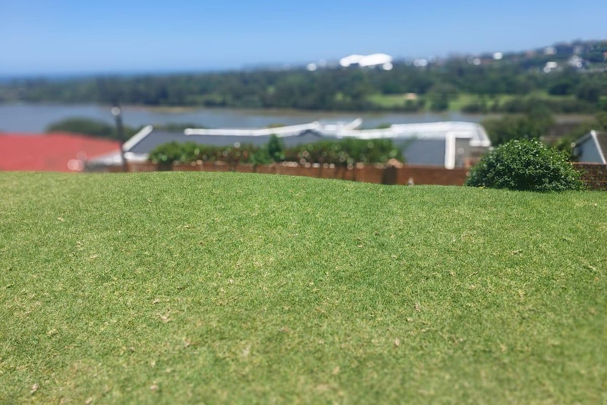 A GEM 2 PROPERTIES ON ONE LAND - Photo 4