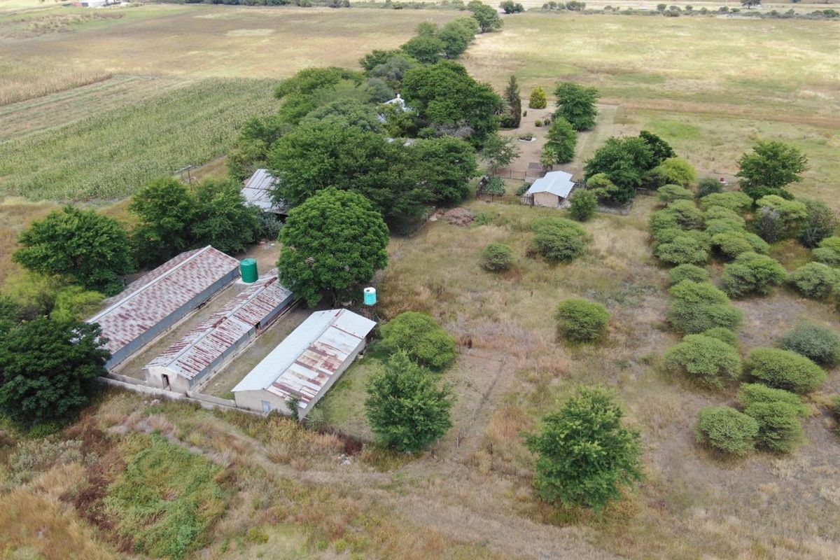 Expansive 20.5 Hectare Smallholding in Radium - Prime Location Just 26km from Bela Bela - Photo 3
