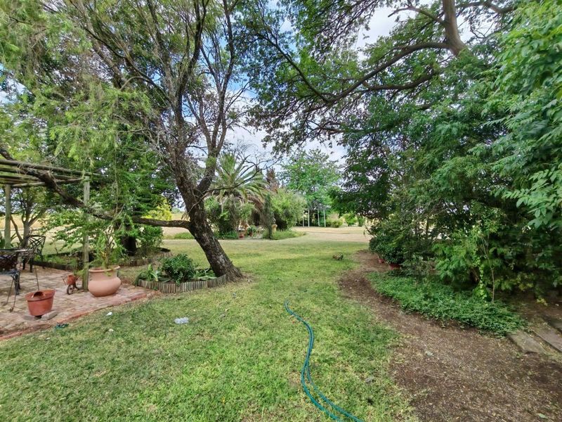 Expansive 20.5 Hectare Smallholding in Radium - Prime Location Just 26km from Bela Bela - Photo 8