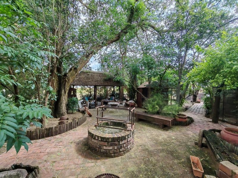 Expansive 20.5 Hectare Smallholding in Radium - Prime Location Just 26km from Bela Bela - Photo 7