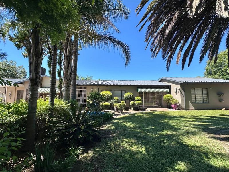 A view of the rear elevation of the house featuring a metal roof, established garden, and mature palm trees.