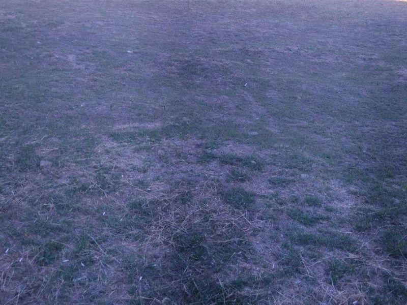 Vacant Land For Sale in Memel - Photo 3