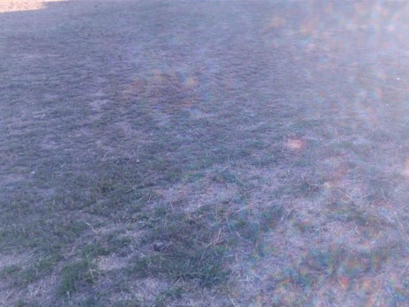 Vacant Land For Sale in Memel - Photo 4