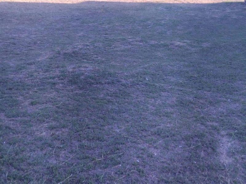 Vacant Land For Sale in Memel - Photo 2