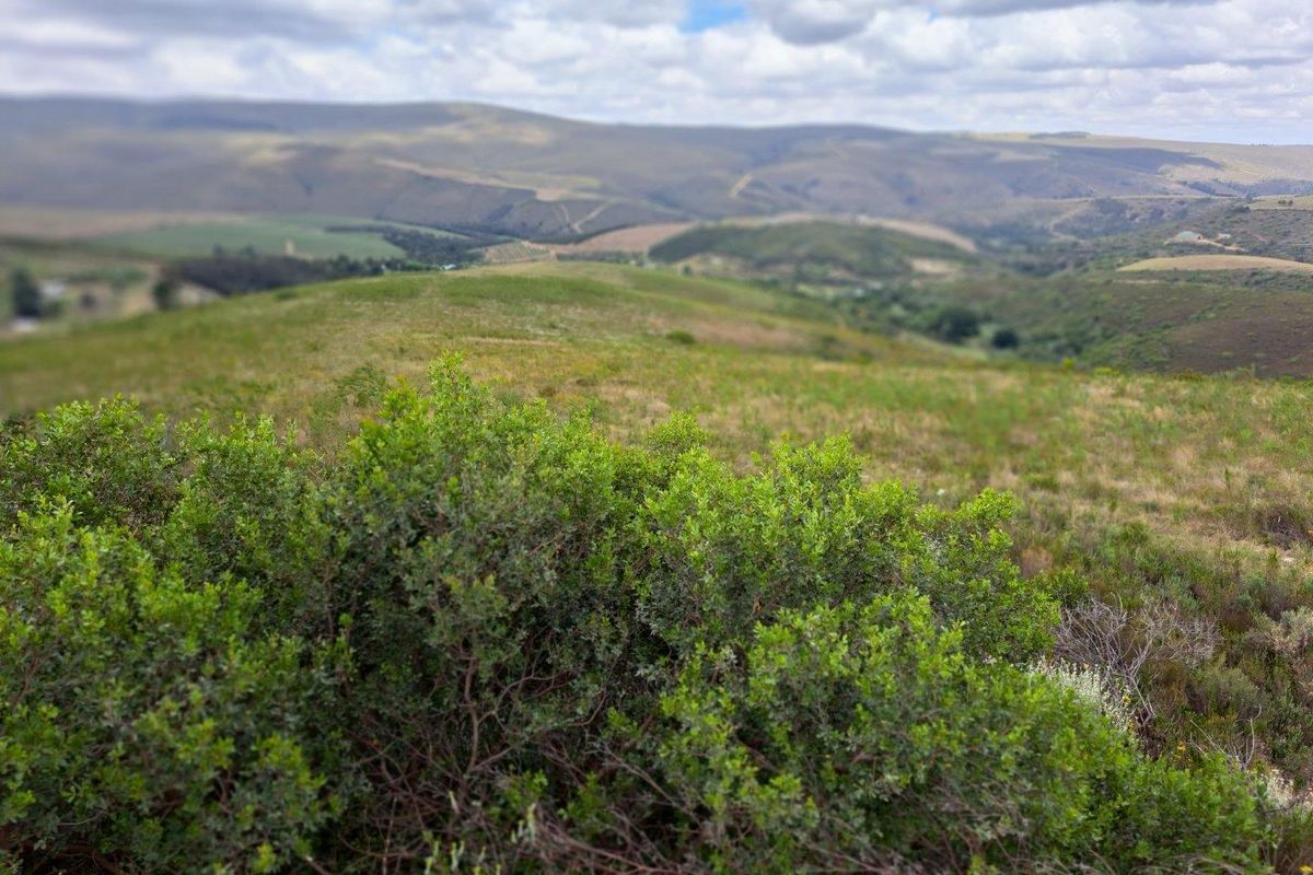Farm For Sale in Riversdale Rural, Riversdale - Photo 3
