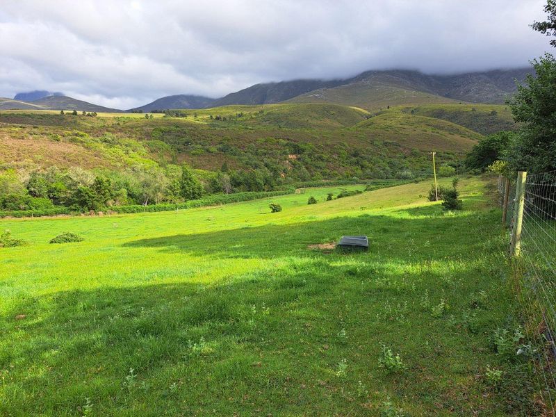 Expansive green pasture and rolling hills on this farm property, offering scenic mountain views and a peaceful rural landscape.