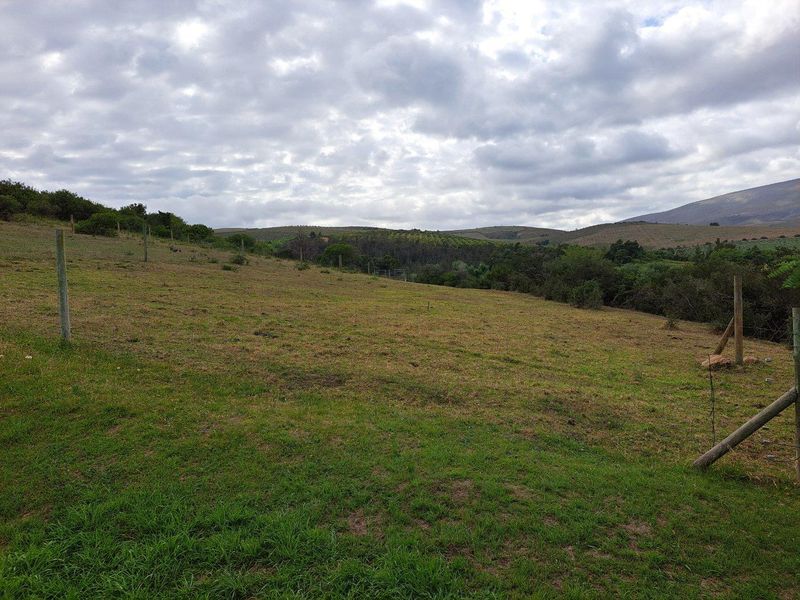 Expansive open farm land featuring rolling hills, natural vegetation, and perimeter fencing, offering scenic rural views.