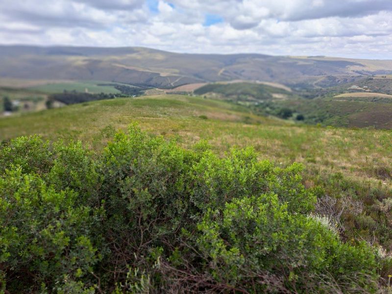 A scenic view of the rolling hills and natural landscape surrounding the farm property.