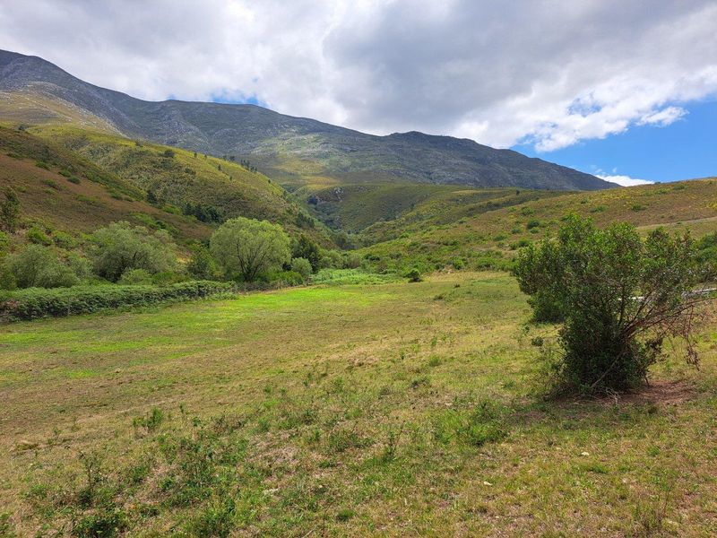 Expansive open farm land featuring natural mountain vistas and established indigenous vegetation, offering a serene and scenic rural landscape.