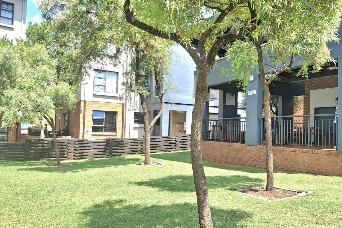 Quiet Top-Floor Living with Space, Light and Privacy - Photo 2