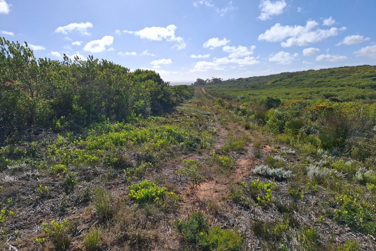 Farm UNDER OFFER in Gouritsmond Rural, Gouritsmond - Photo 4