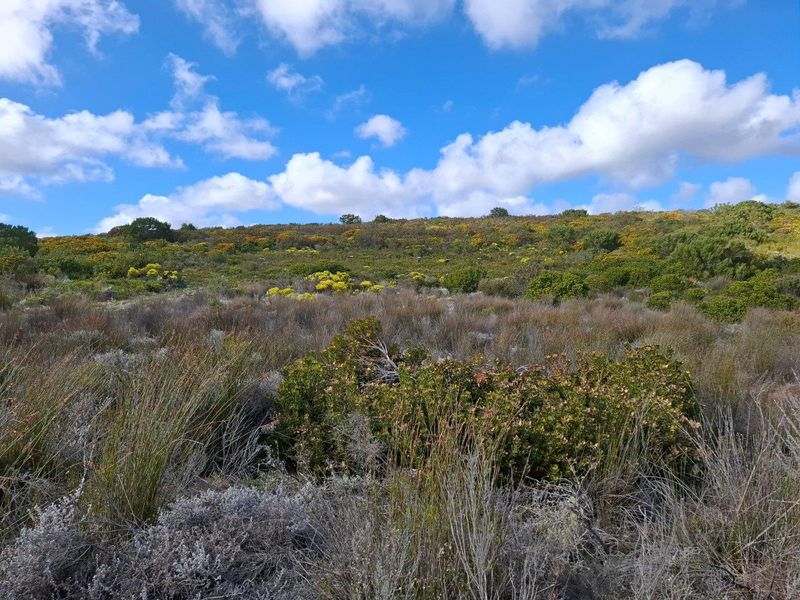 Farm UNDER OFFER in Gouritsmond Rural, Gouritsmond - Photo 8