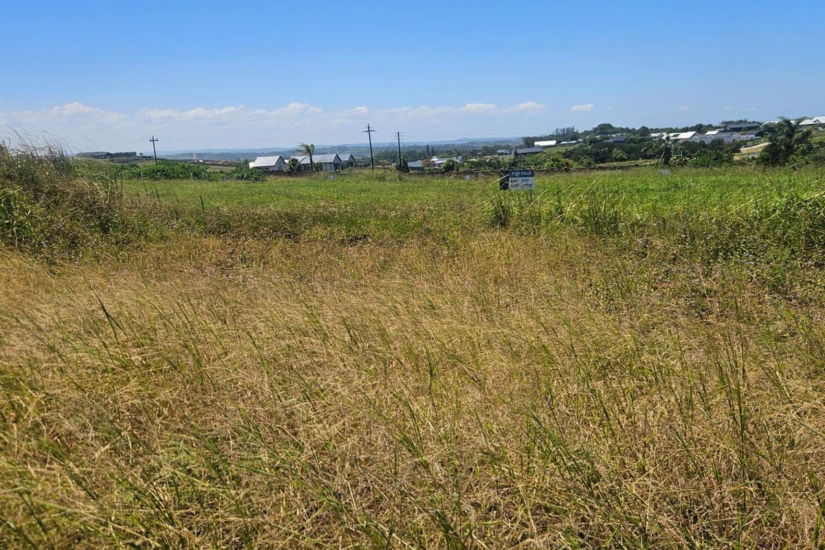 A vacant residential plot of land featuring natural grassland and distant neighborhood views, ideal for future development.