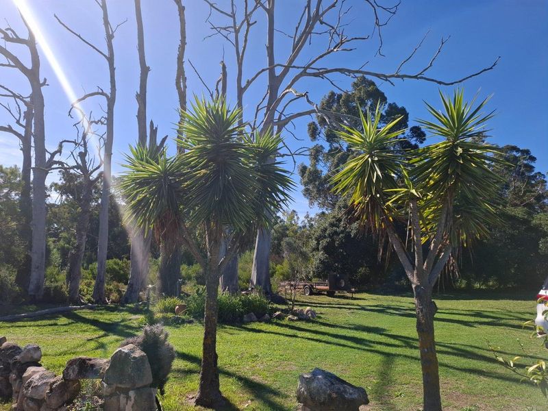 A view of the expansive farm garden featuring mature trees, established landscaping, and a natural stone border.