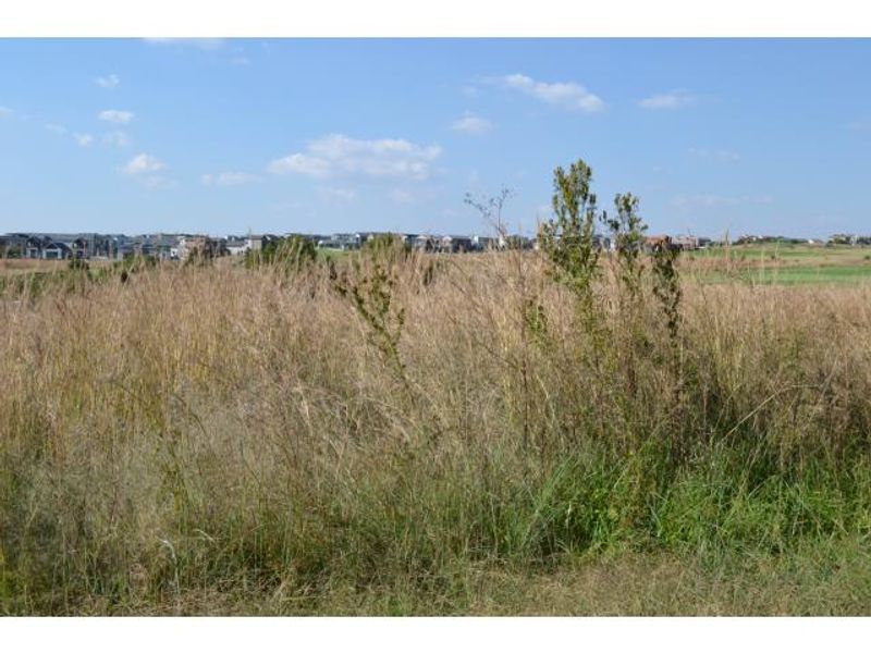 Vacant Land For Sale in Copperleaf Estate, Centurion - Photo 2