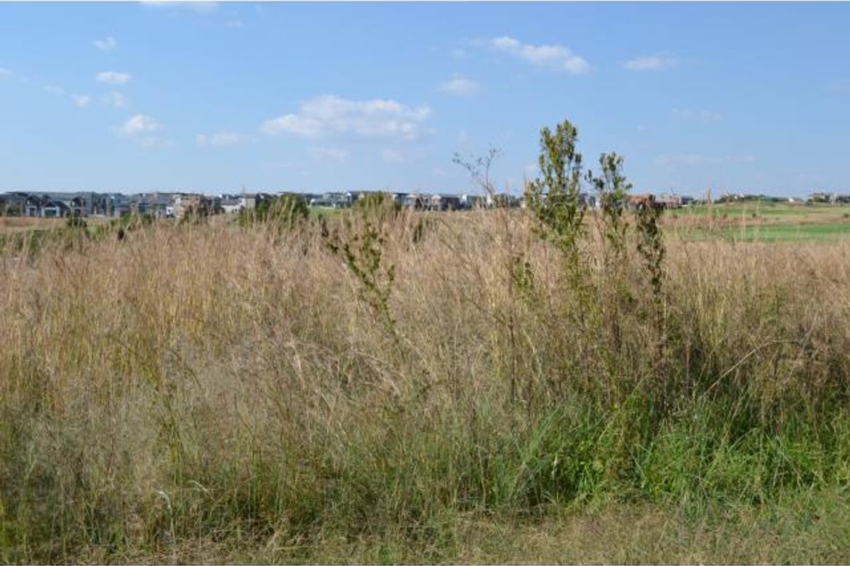 Vacant Land For Sale in Copperleaf Estate, Centurion - Photo 2