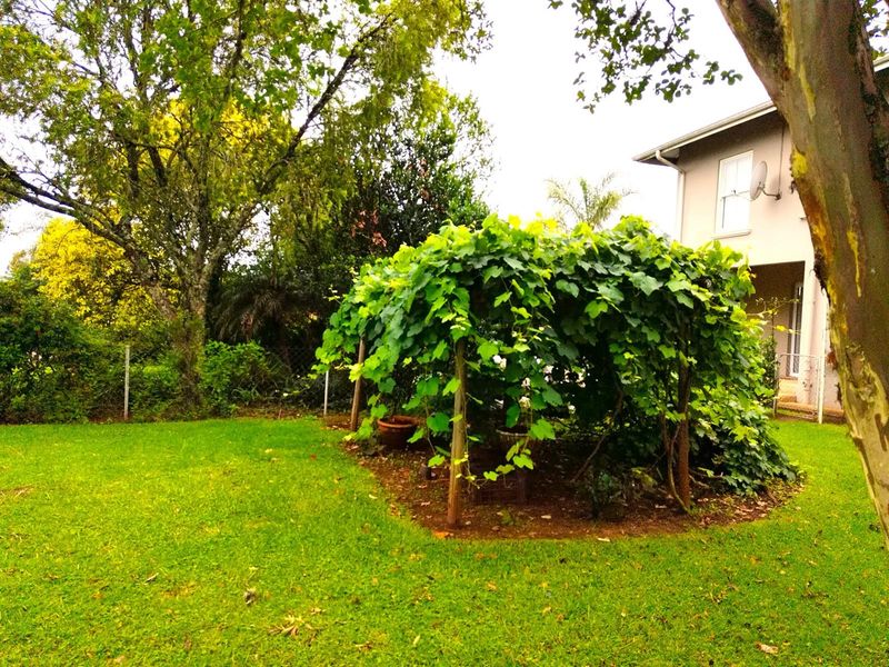 MAGNIFICENT FAMILY HOME FOR SALE IN GRASKOP - PANORAMA ROUTE GEM - Photo 7