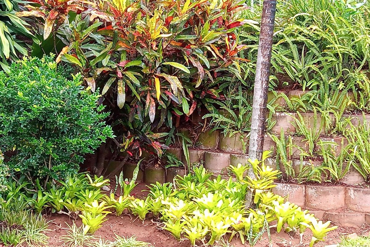 Furnished apartment To Rent in Umhlanga Central, Umhlanga, KwaZulu Natal - Photo 3