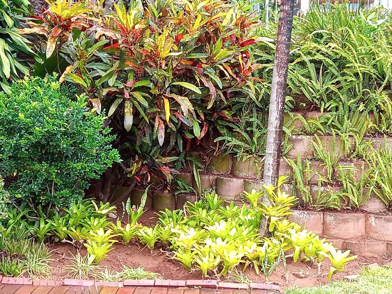 SEA FACING Furnished apartment To Rent in Umhlanga Central, Umhlanga, KwaZulu Natal - Photo 3