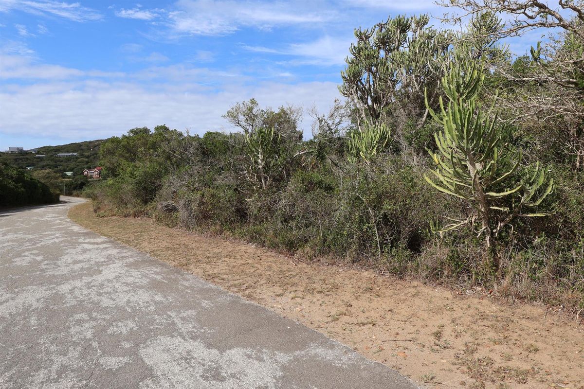 A view of the paved street frontage adjacent to a vacant residential plot featuring natural coastal vegetation and indigenous shrubs.