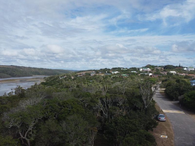 Aerial view of the residential area featuring lush coastal vegetation, a nearby river estuary, and established neighborhood roads.