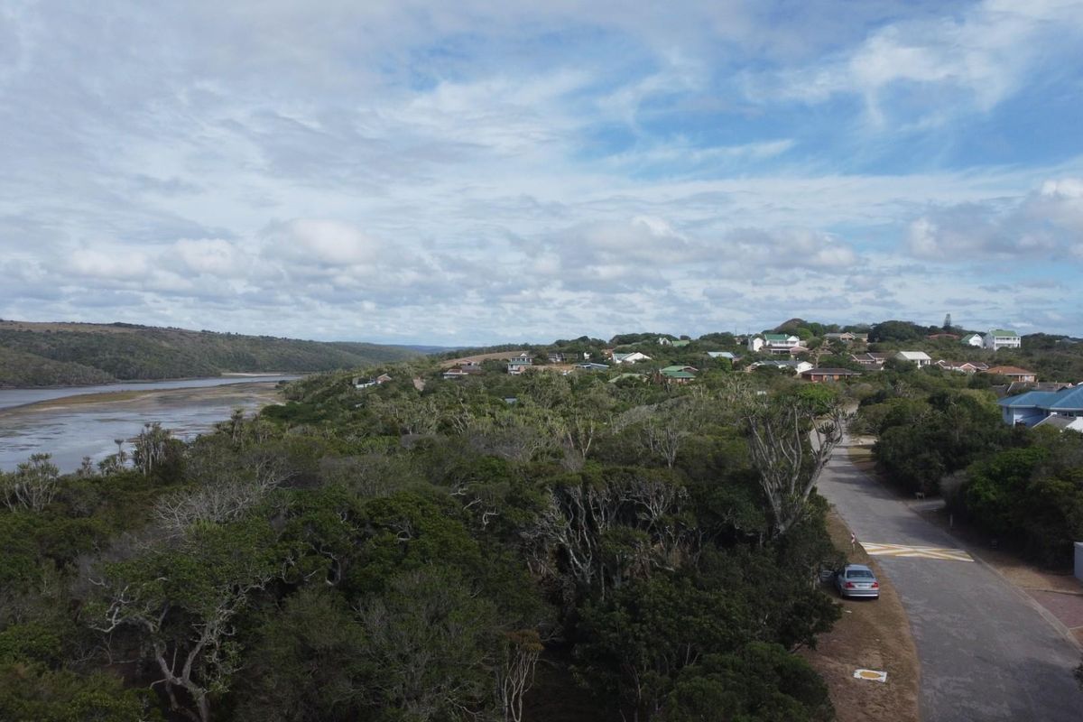 Aerial view of the residential area featuring lush coastal vegetation, a nearby river estuary, and established neighborhood roads.
