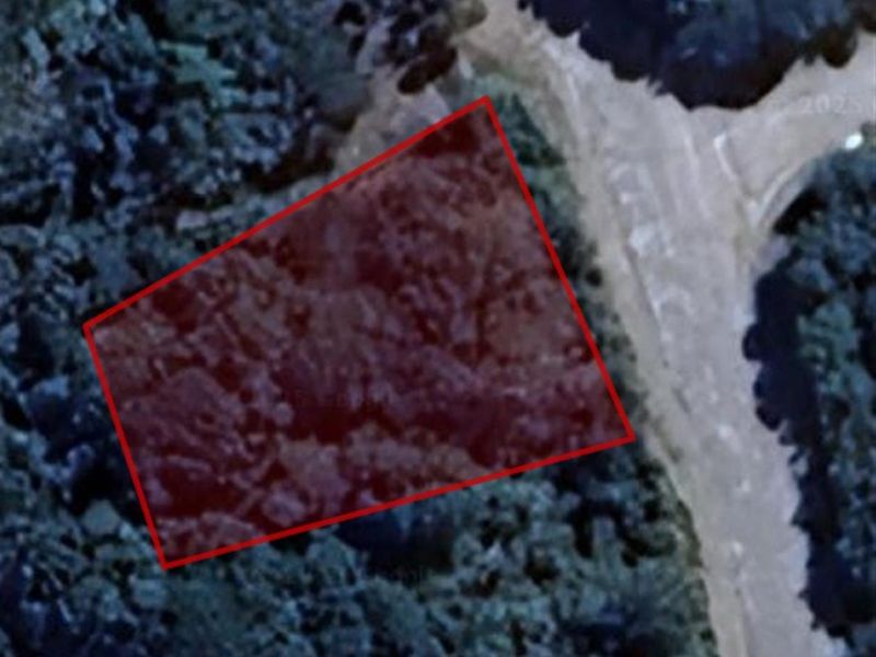 An aerial view of a vacant residential plot highlighted in red, showing dense vegetation and proximity to a local road.
