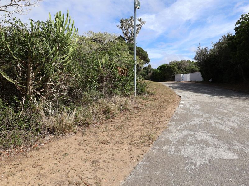 A view of the street frontage and natural vegetation bordering the vacant residential land.